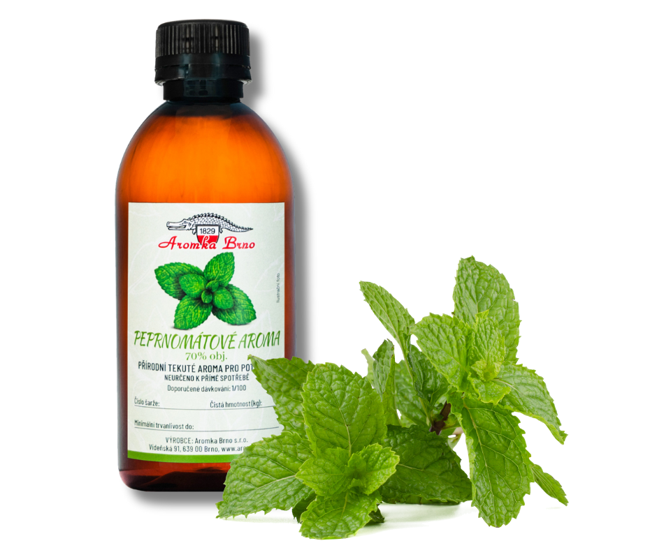 aroma máta